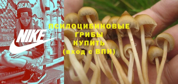 прущий лед Армянск